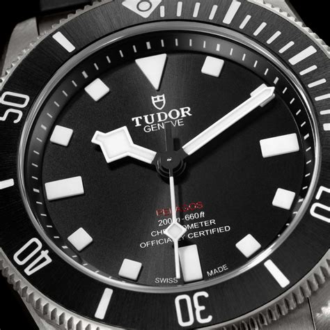 what movement does tudor use|tudor pelagos movement.